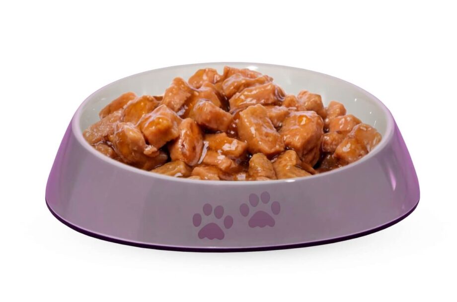 Fioletowa miska pełna kawałków mięsa to karma mokra dla psa.