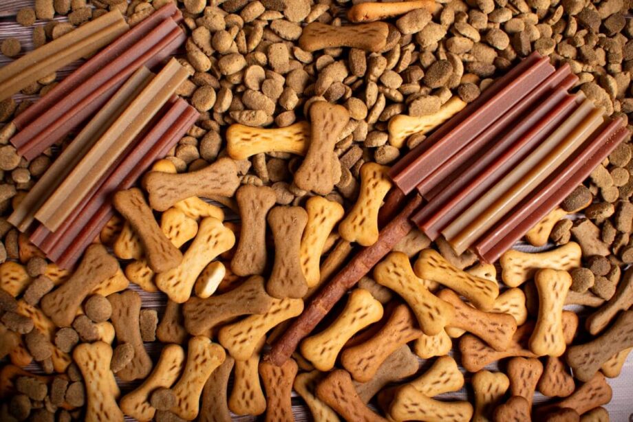 Różnorodne przysmaki dla psa, w tym kostki i patyczki.